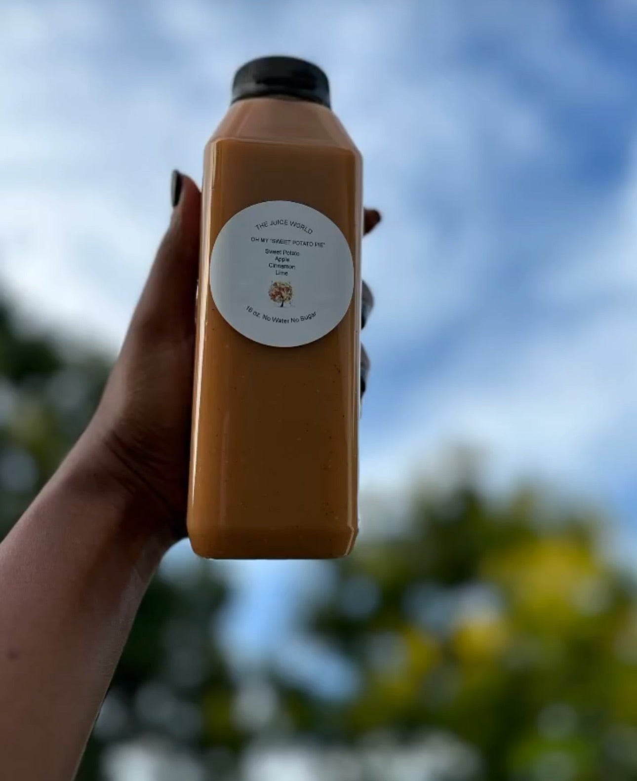 OH MY SWEET POTATO PIE